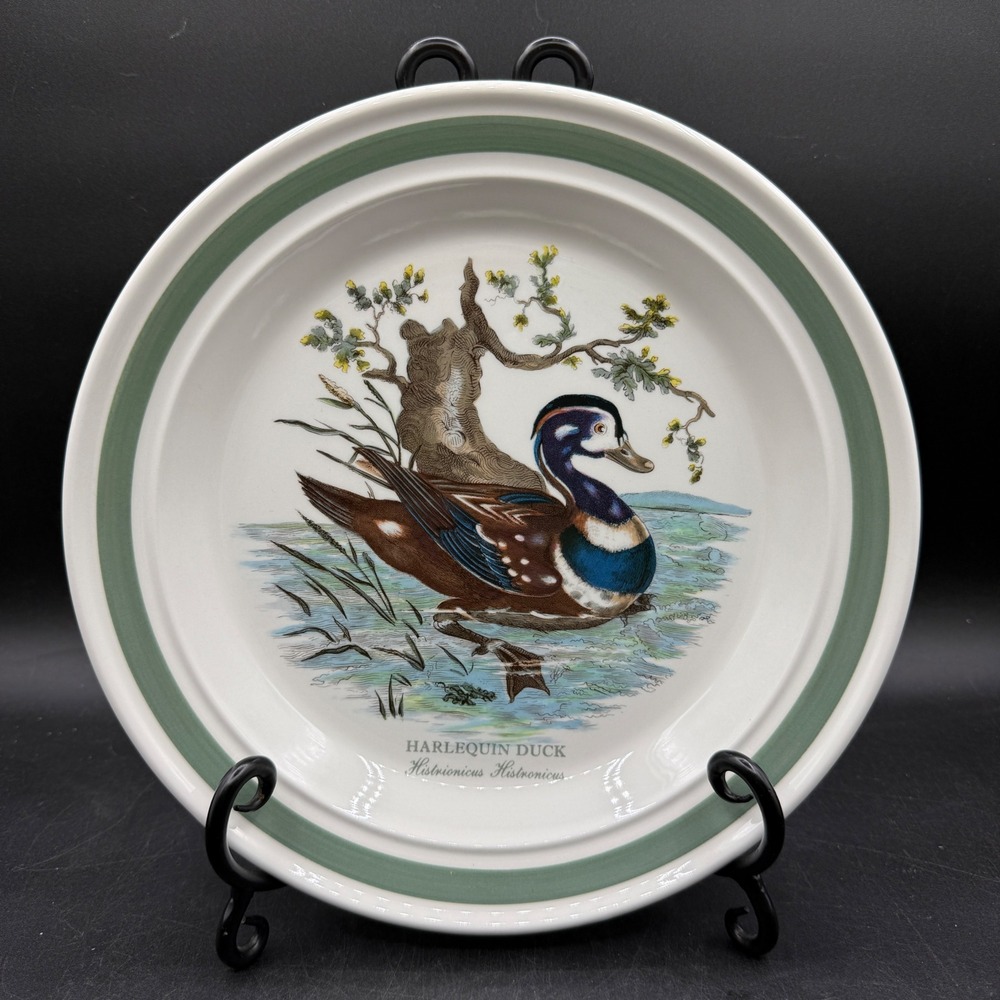 Vintage Portmeirion Birds Of Britain Harlequin Duck Dinner Plate Green Band Trim
